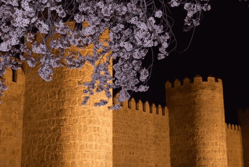 چاپخانه شهرک گلستان شیراز + ارسال رایگان 